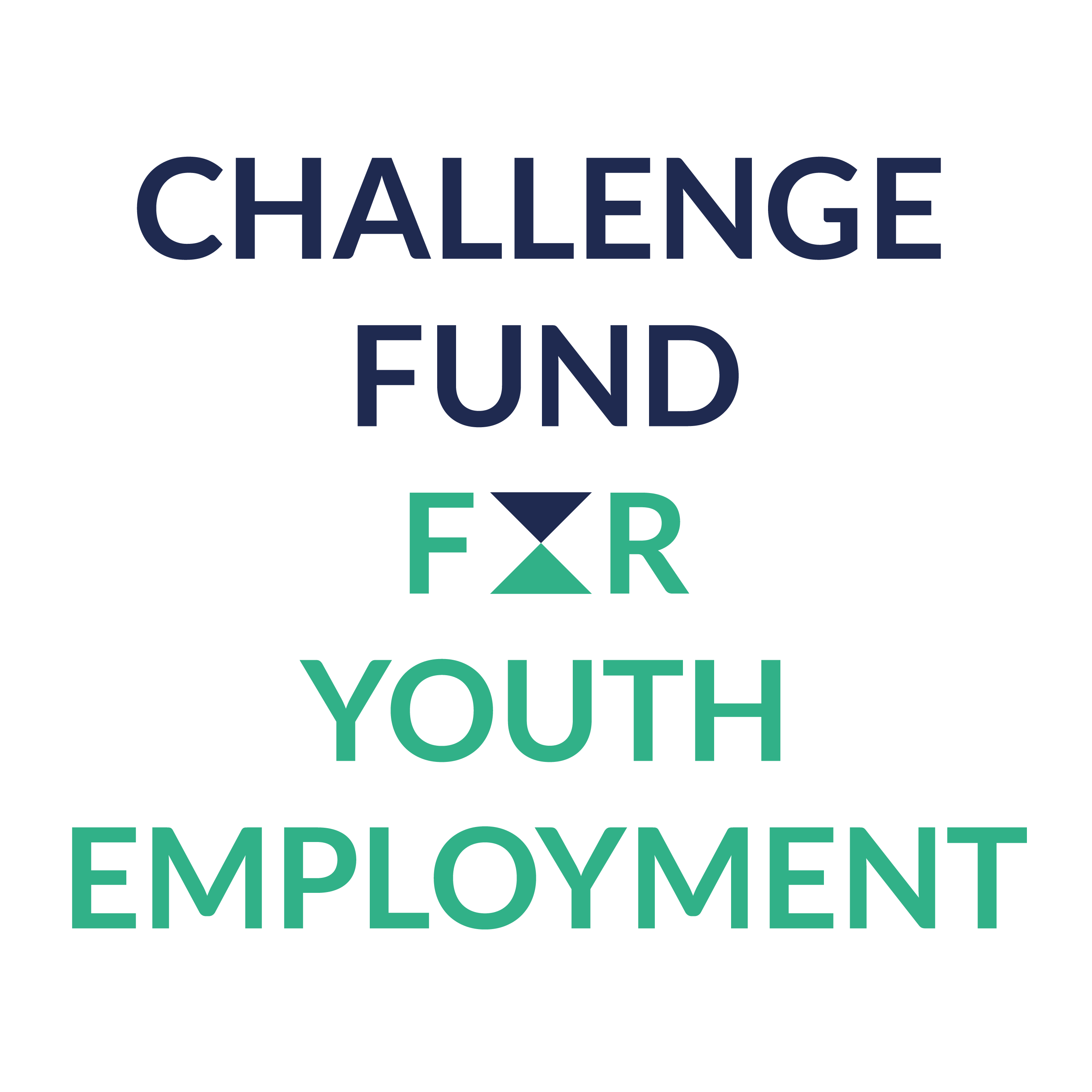 Challange Fund For Youth Emloyment