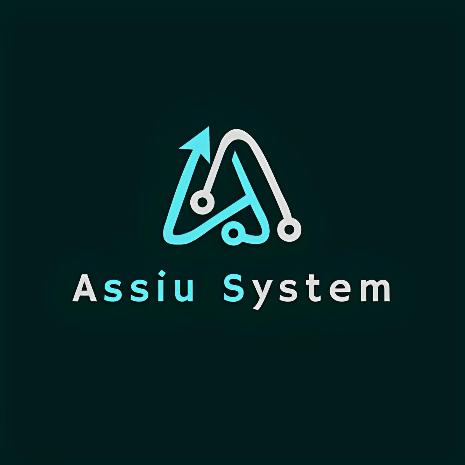 assiusystems